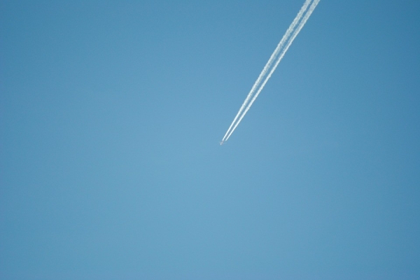 Почему из Минска в Дубай летают прямые рейсы, а в более близкий Египет — нет? Почему из Минска в Дубай летают прямые рейсы, а в более близкий Египет — нет?