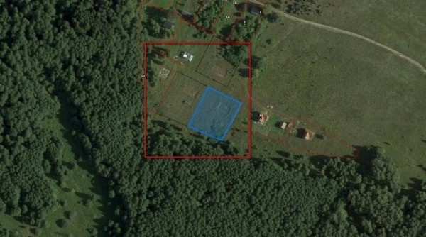 На торги выставили участки с незавершенкой прямо в Беловежской Пуще. Цены − от 300 долларов На торги выставили участки с незавершенкой прямо в Беловежской Пуще. Цены − от 300 долларов