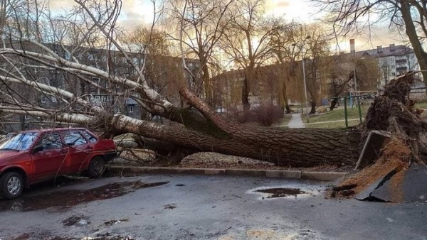 Информация о последствиях непогоды в Бресте Информация о последствиях непогоды в Бресте