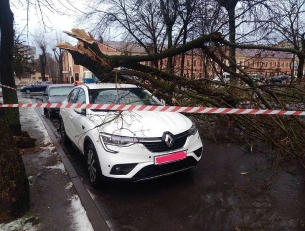 Причину аномально сильных ветров в январе объяснил синоптик Причину аномально сильных ветров в январе объяснил синоптик