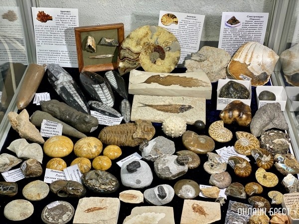 Экспозиция, которая вас удивит! Большой фоторепортаж с уникальной выставки-ярмарки «В мире самоцветов» в Бресте