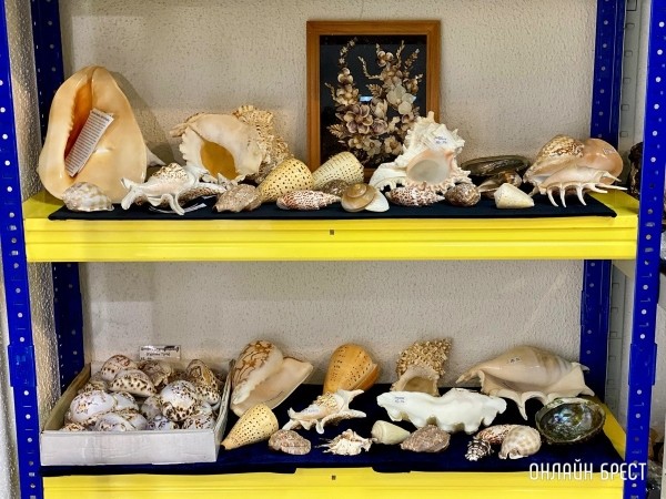 Экспозиция, которая вас удивит! Большой фоторепортаж с уникальной выставки-ярмарки «В мире самоцветов» в Бресте