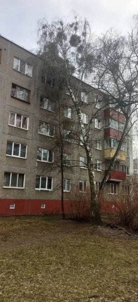 Информация о последствиях непогоды в Бресте Информация о последствиях непогоды в Бресте