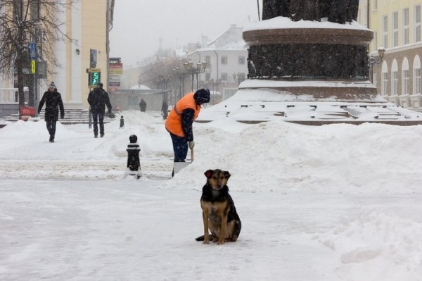 Синоптики рассказали, когда в Беларуси потеплеет Синоптики рассказали, когда в Беларуси потеплеет