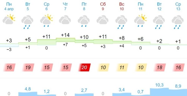 На ближайшие сутки по Бресту и области объявлен оранжевый уровень из-за ветра