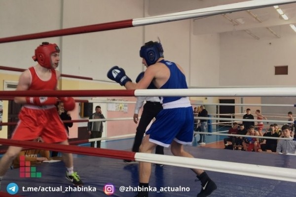 В Жабинке определяли лучших боксеров среди юношей В Жабинке определяли лучших боксеров среди юношей