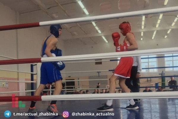 В Жабинке определяли лучших боксеров среди юношей В Жабинке определяли лучших боксеров среди юношей