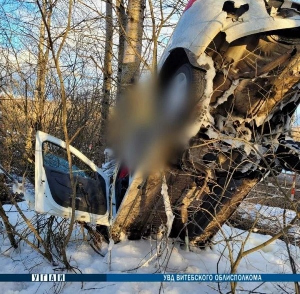 Таксист спешил на заказ, но автомобиль в результате ДТП оказался на дереве Таксист спешил на заказ, но автомобиль в результате ДТП оказался на дереве