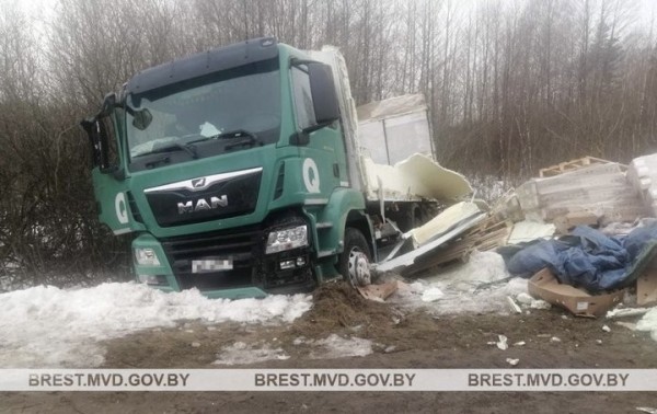 Косуля стала причиной ДТП  в Брестской области Косуля стала причиной ДТП  в Брестской области