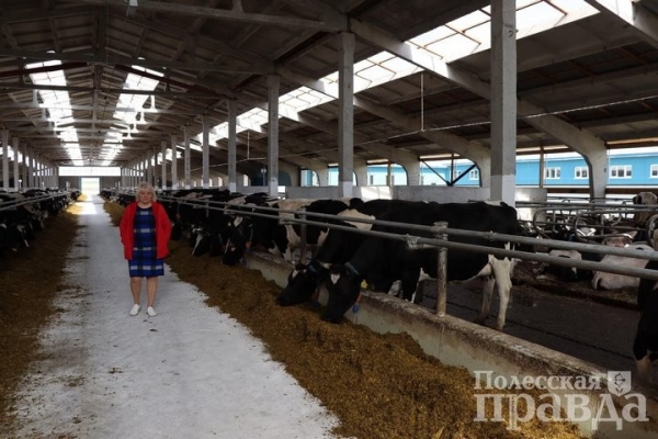 В Брестской области в Колодеевичах торжественно открыли новую молочно-товарную ферму В Брестской области в Колодеевичах торжественно открыли новую молочно-товарную ферму