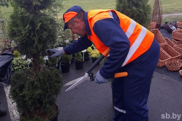 Министр ЖКХ назвал Брест одним из эталонов благоустройства в стране Министр ЖКХ назвал Брест одним из эталонов благоустройства в стране