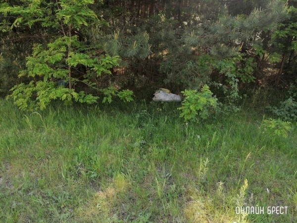 Читатель: Хотелось бы обратить внимание на ситуацию с большегрузами
             
                Читатель: Хотелось бы обратить внимание на ситуацию с большегрузами