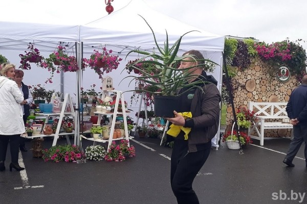 Министр ЖКХ назвал Брест одним из эталонов благоустройства в стране Министр ЖКХ назвал Брест одним из эталонов благоустройства в стране