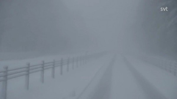Юг Швеции накрыли снегопады: для водителей объявили предупреждение, возможны перебои со светом