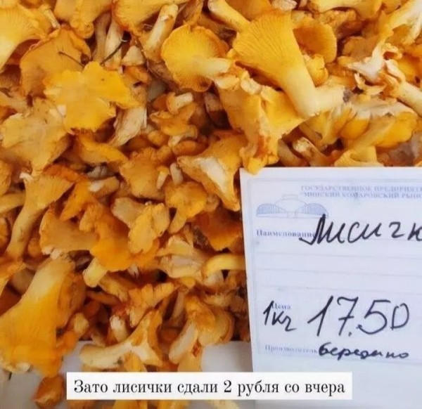 В четыре раза дороже: белорусские лисички появились в магазинах Германии В четыре раза дороже: белорусские лисички появились в магазинах Германии