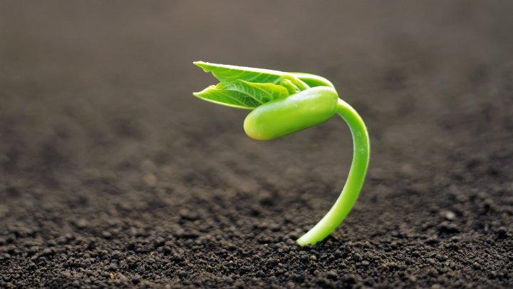 Плодородный грунт от ДабраБуд