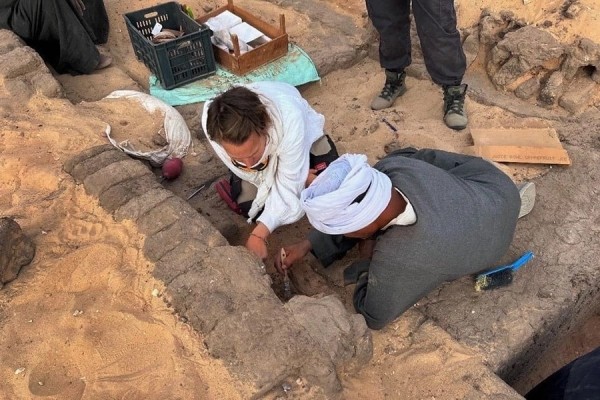 В Египте обнаружили кувшины с вином 5000-летней выдержки В Египте обнаружили кувшины с вином 5000-летней выдержки