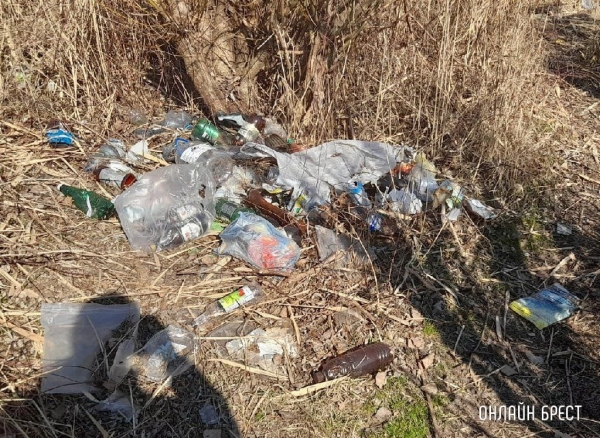 Читатель: Ходили с друзьями на рыбалку за Дворцом водных видов спорта. Время провели классно, но вот свалка мусора просто шокировала
             
                Читатель: Ходили с друзьями на рыбалку за Дворцом водных видов спорта. Время провели классно, но вот свалка мусора просто шокировала