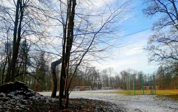 Встретились зима и весна. В парке в Высоком можно застать обе поры года (Брестская область) Встретились зима и весна. В парке в Высоком можно застать обе поры года (Брестская область)