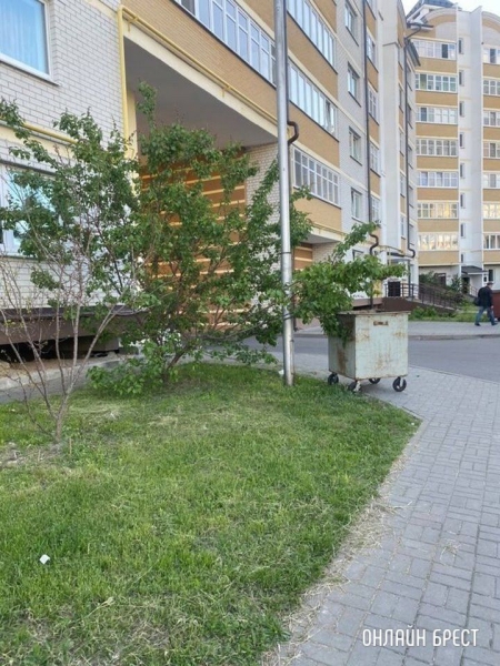 Читатель: Брест, бульвар Космонавтов, 40. Под окном дома круглые сутки стоит мусорный контейнер. Он ведь должен стоять в шахте мусоропровода?
             
                Читатель: Брест, бульвар Космонавтов, 40. Под окном дома круглые сутки стоит мусорный контейнер. Он ведь должен стоять в шахте мусоропровода?