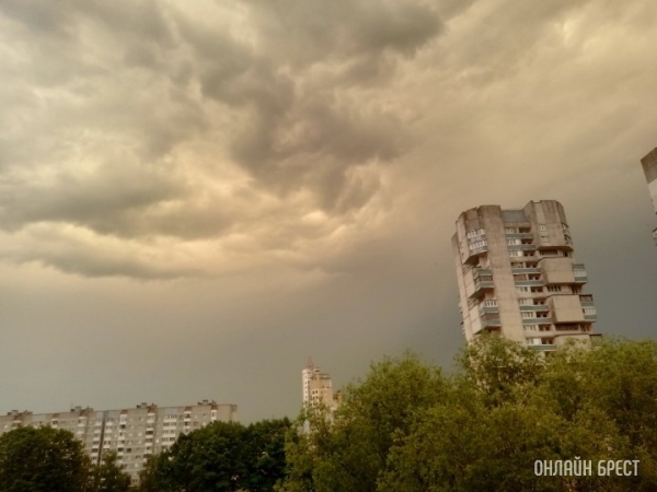 Штормовое предупреждение объявлено в Брестской области и Бресте 19 февраля Штормовое предупреждение объявлено в Брестской области и Бресте 19 февраля