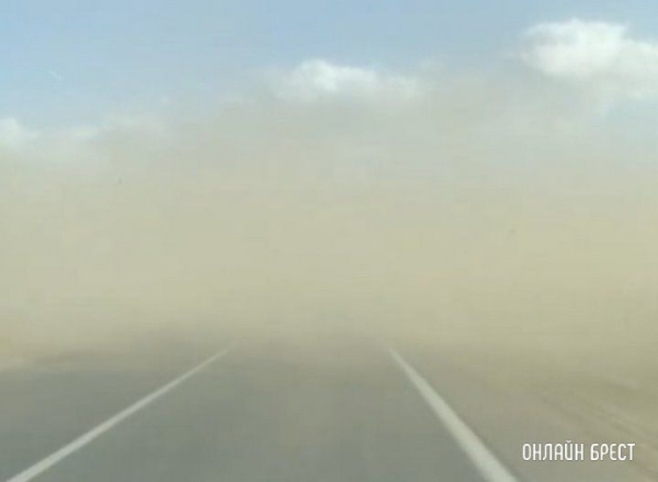 
                Читатель: Не часто такое увидишь! Сегодня песчаная буря накрыла автодорогу в Брестской области (Пружаны-Берёза)
            