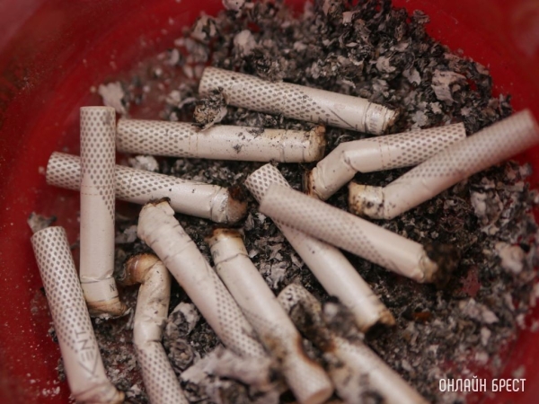 В Беларуси изменен список компаний, которые могут импортировать табак В Беларуси изменен список компаний, которые могут импортировать табак