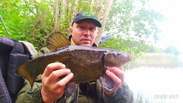 Выходной и ночная рыбалка жителя Бреста
             
                Выходной и ночная рыбалка жителя Бреста