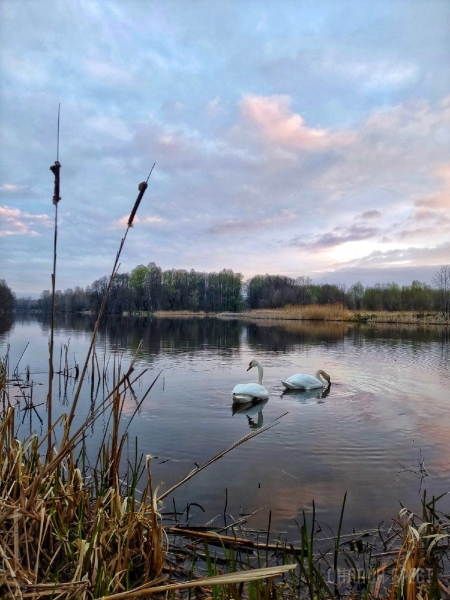 Читатель: Сегодняшнее утро в городе-спутнике Бреста (Жабинка). Красиво
             
                Читатель: Сегодняшнее утро в городе-спутнике Бреста (Жабинка). Красиво