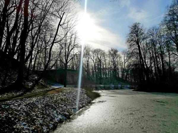 Встретились зима и весна. В парке в Высоком можно застать обе поры года (Брестская область) Встретились зима и весна. В парке в Высоком можно застать обе поры года (Брестская область)