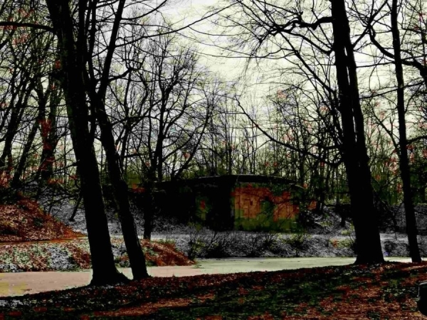 Встретились зима и весна. В парке в Высоком можно застать обе поры года (Брестская область) Встретились зима и весна. В парке в Высоком можно застать обе поры года (Брестская область)