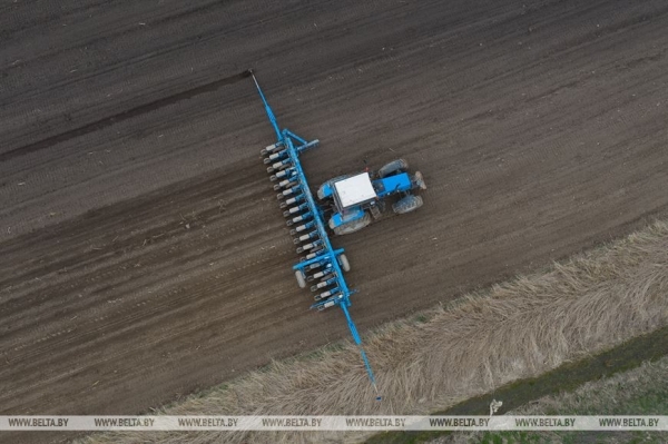 На Брестчине идёт посевная. Фотофакт На Брестчине идёт посевная. Фотофакт