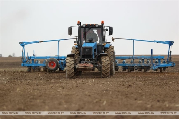 На Брестчине идёт посевная. Фотофакт На Брестчине идёт посевная. Фотофакт