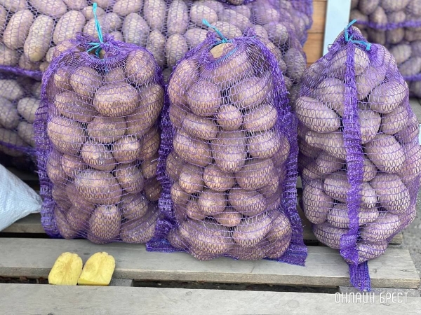 Читатель: Что почем на рынке за ЦУМом в Бресте
             
                Читатель: Что почем на рынке за ЦУМом в Бресте