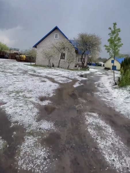 В агрогородке Межлесье Лунинецкого района град повредил плодовые деревья и саженцы В агрогородке Межлесье Лунинецкого района град повредил плодовые деревья и саженцы