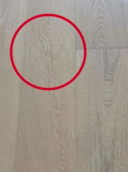 Хозяин квартиры требует с арендатора более $600 за небольшую царапину на полу Хозяин квартиры требует с арендатора более $600 за небольшую царапину на полу