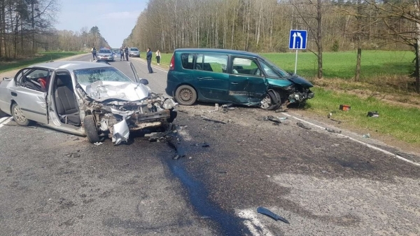 Один человек погиб, пятеро пострадали в ДТП из-за попытки объехать косулю Один человек погиб, пятеро пострадали в ДТП из-за попытки объехать косулю