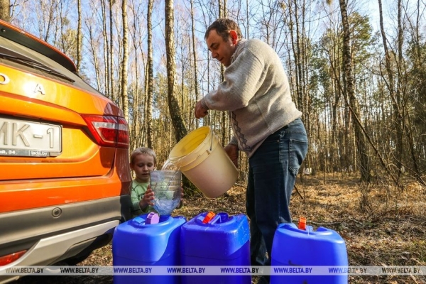 В Брестской области сезон заготовки березового сока продлился месяц. Сколько тонн продали населению? В Брестской области сезон заготовки березового сока продлился месяц. Сколько тонн продали населению?