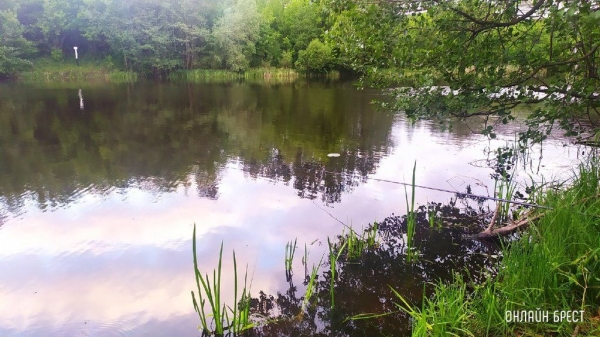Выходной и ночная рыбалка жителя Бреста
             
                Выходной и ночная рыбалка жителя Бреста