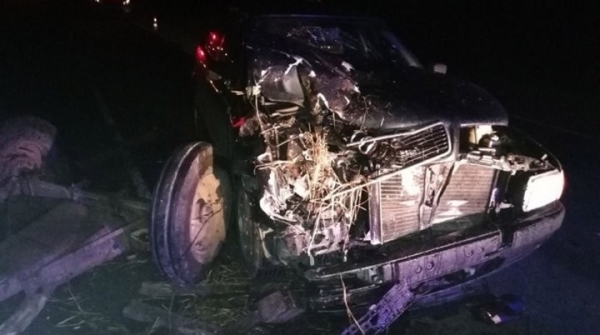 В Лунинецком районе столкнулись автомобиль и гужевая повозка - два человека в больнице В Лунинецком районе столкнулись автомобиль и гужевая повозка - два человека в больнице